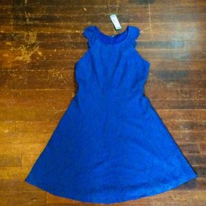 Stitch Fix lace dress